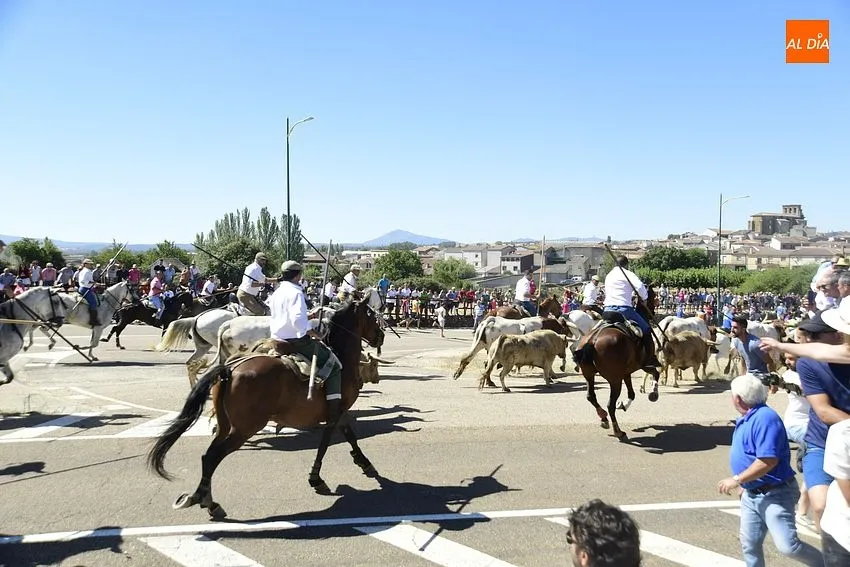 Foto 9 - R&aacute;pido y limpio encierro, con a&uacute;n m&aacute;s p&uacute;blico, en la jornada m&aacute;s taurina de las fiestas