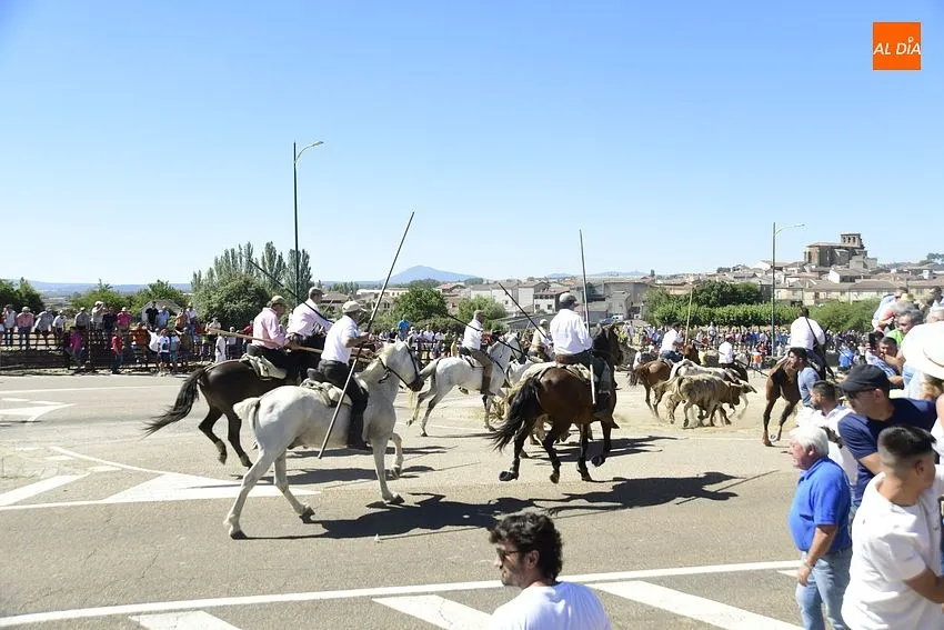 Foto 10 - R&aacute;pido y limpio encierro, con a&uacute;n m&aacute;s p&uacute;blico, en la jornada m&aacute;s taurina de las fiestas