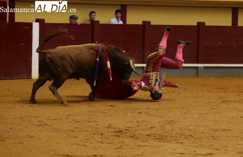 Foto 9 - Dos orejas y rabo para Iker Fern&aacute;ndez &lsquo;El Mene&rsquo;, gran triunfador del Bols&iacute;n Taurino &lsquo;Botijo de Filigrana&rsquo;