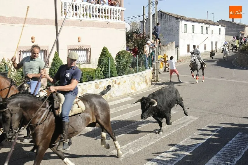 Foto 10 - Variada tarde taurina en Fuentes de O&ntilde;oro con citas de todo tipo