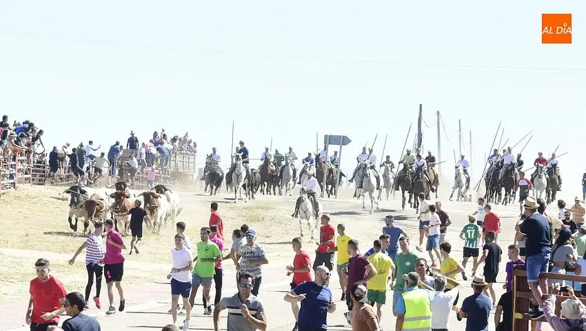 Foto 2 - Los encierros de Fuenteguinaldo est&aacute;n de vuelta con una masiva asistencia de p&uacute;blico
