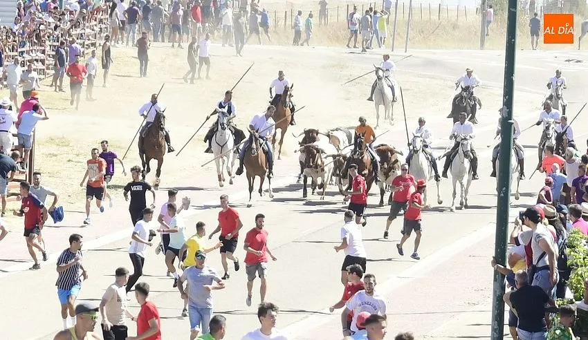 Foto 3 - Agrupado encierro de Los Bayones salvo por un toro rezagado que brind&oacute; entretenimiento extra
