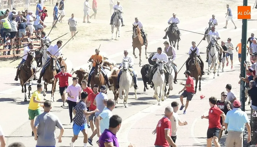 Foto 4 - Agrupado encierro de Los Bayones salvo por un toro rezagado que brind&oacute; entretenimiento extra