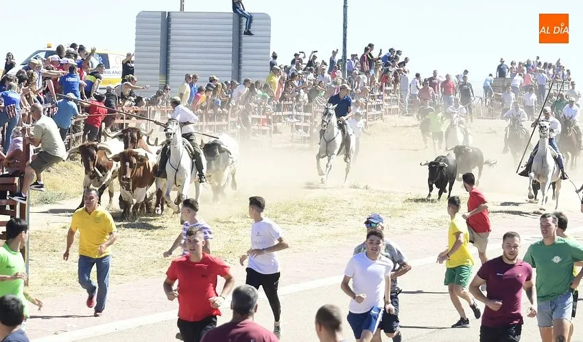 Foto 4 - Los encierros de Fuenteguinaldo est&aacute;n de vuelta con una masiva asistencia de p&uacute;blico
