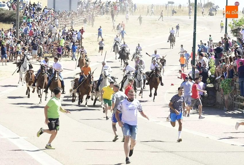 Foto 5 - Agrupado encierro de Los Bayones salvo por un toro rezagado que brind&oacute; entretenimiento extra