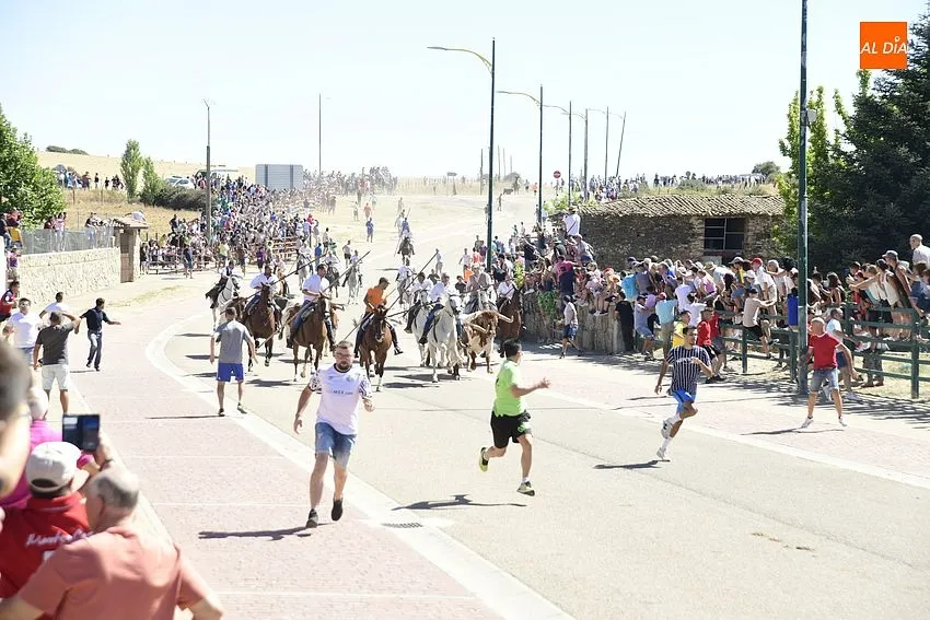 Foto 6 - Agrupado encierro de Los Bayones salvo por un toro rezagado que brind&oacute; entretenimiento extra
