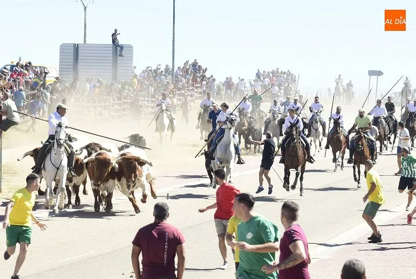 Foto 6 - Los encierros de Fuenteguinaldo est&aacute;n de vuelta con una masiva asistencia de p&uacute;blico