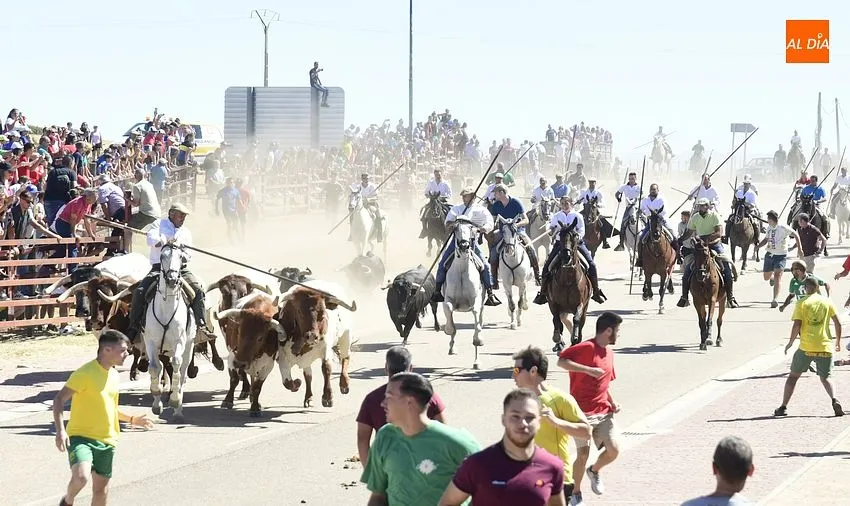 Foto 7 - Los encierros de Fuenteguinaldo est&aacute;n de vuelta con una masiva asistencia de p&uacute;blico