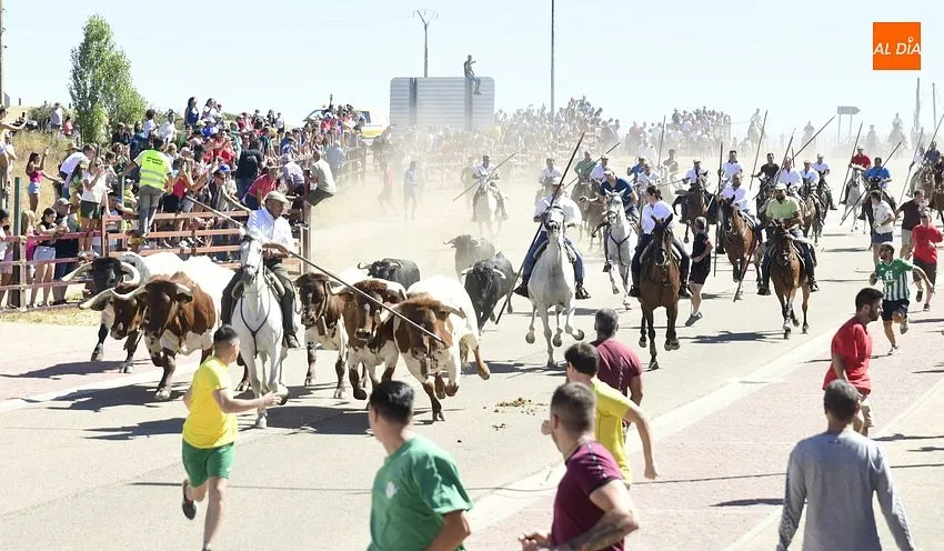 Foto 8 - Los encierros de Fuenteguinaldo est&aacute;n de vuelta con una masiva asistencia de p&uacute;blico