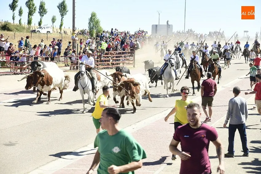 Foto 9 - Los encierros de Fuenteguinaldo est&aacute;n de vuelta con una masiva asistencia de p&uacute;blico