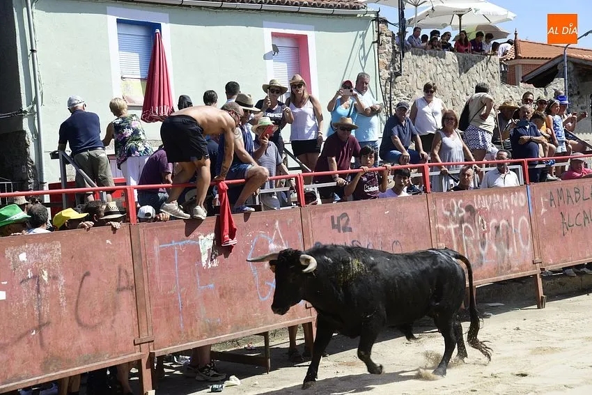 Uno de los momentos del encierro a caballo/ Rep.Gráfico: Adrián M.Pastor