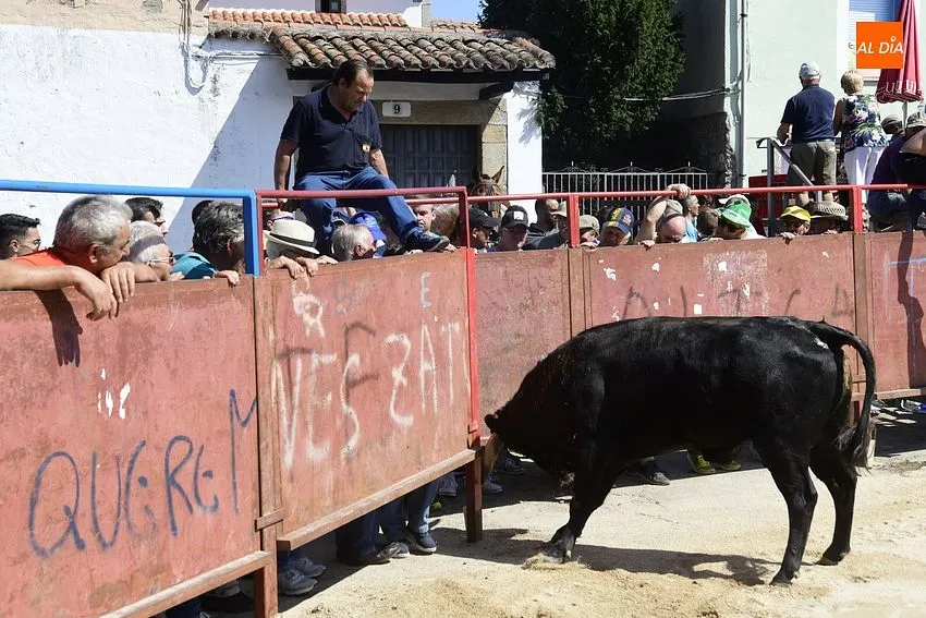 Uno de los momentos del encierro a caballo/ Rep.Gráfico: Adrián M.Pastor