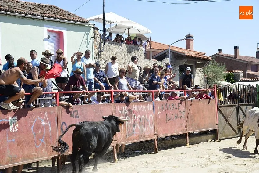 Uno de los momentos del encierro a caballo/ Rep.Gráfico: Adrián M.Pastor