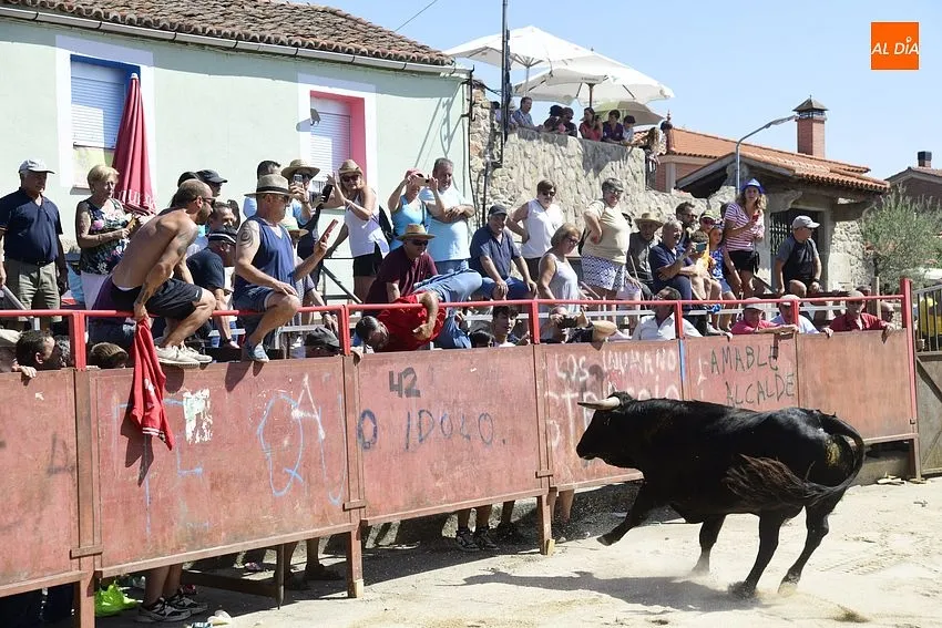Uno de los momentos del encierro a caballo/ Rep.Gráfico: Adrián M.Pastor