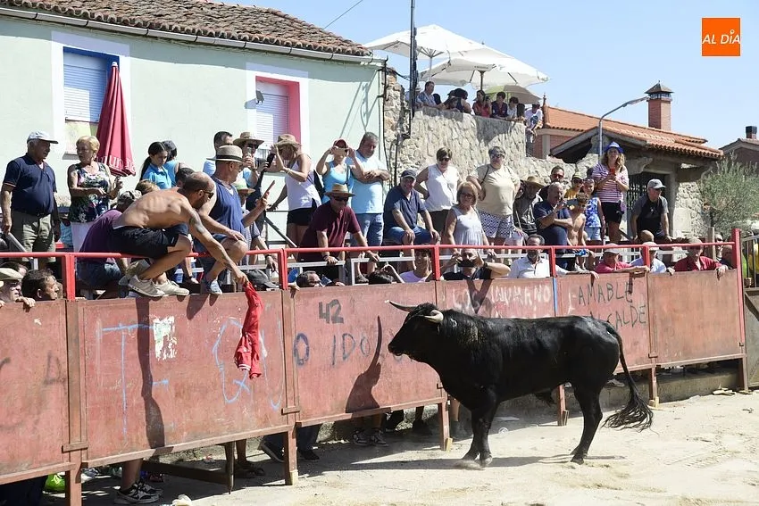 Uno de los momentos del encierro a caballo/ Rep.Gráfico: Adrián M.Pastor