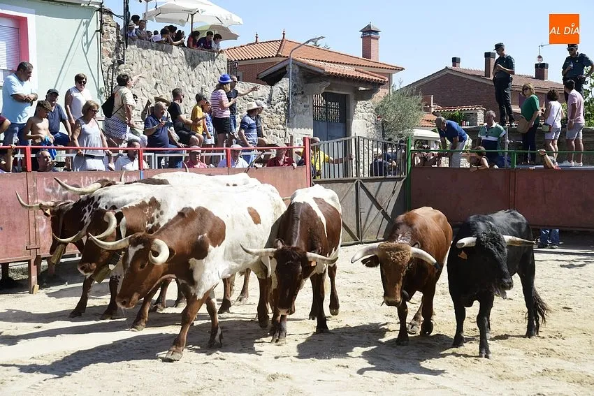 Uno de los momentos del encierro a caballo/ Rep.Gráfico: Adrián M.Pastor