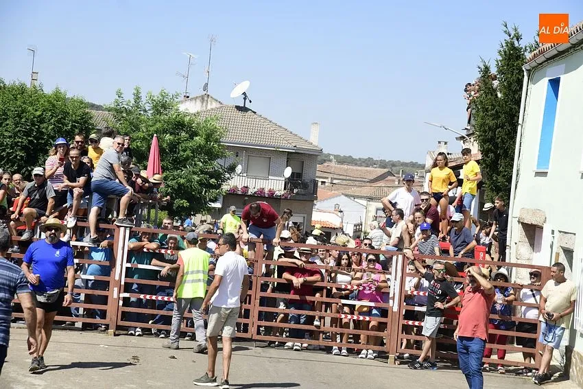 Uno de los momentos del encierro a caballo/ Rep.Gráfico: Adrián M.Pastor