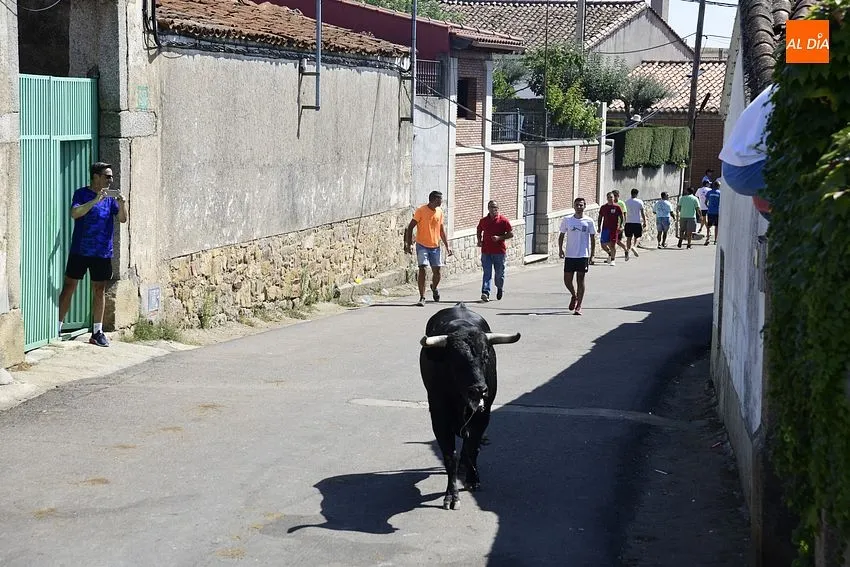 Uno de los momentos del encierro a caballo/ Rep.Gráfico: Adrián M.Pastor