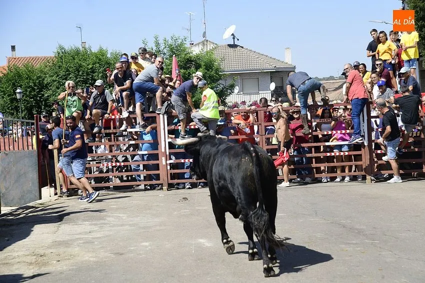 Uno de los momentos del encierro a caballo/ Rep.Gráfico: Adrián M.Pastor