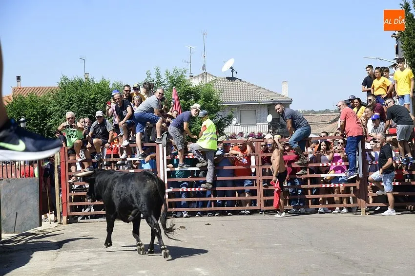 Uno de los momentos del encierro a caballo/ Rep.Gráfico: Adrián M.Pastor