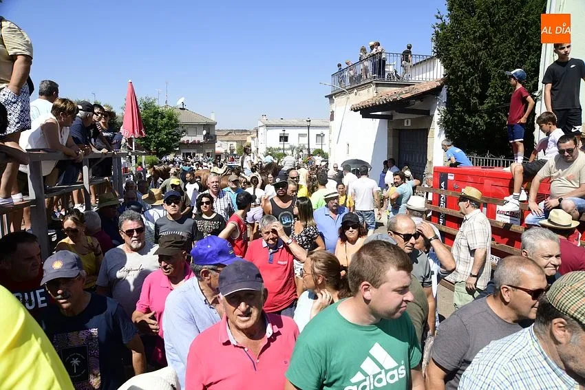 Uno de los momentos del encierro a caballo/ Rep.Gráfico: Adrián M.Pastor