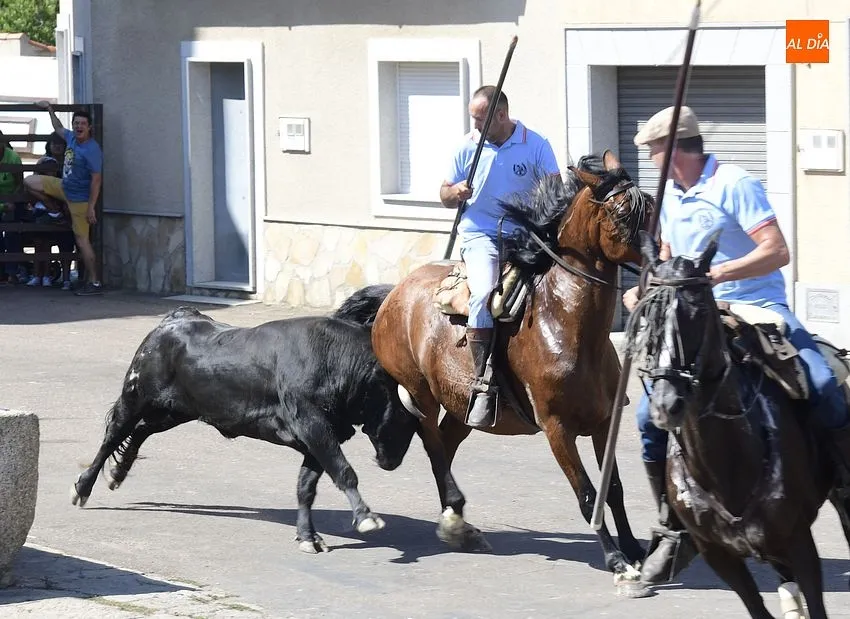 Uno de los momentos del encierro a caballo/ Rep.Gráfico: Adrián M.Pastor