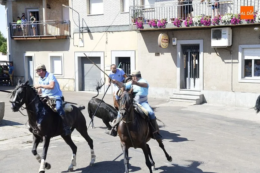 Uno de los momentos del encierro a caballo/ Rep.Gráfico: Adrián M.Pastor