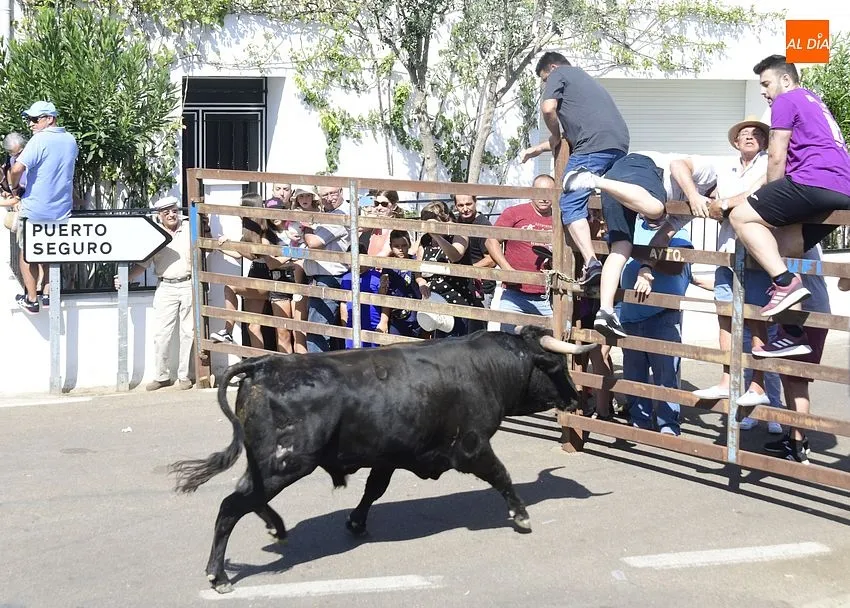 Uno de los momentos del encierro a caballo/ Rep.Gráfico: Adrián M.Pastor