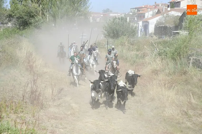 el sahugo