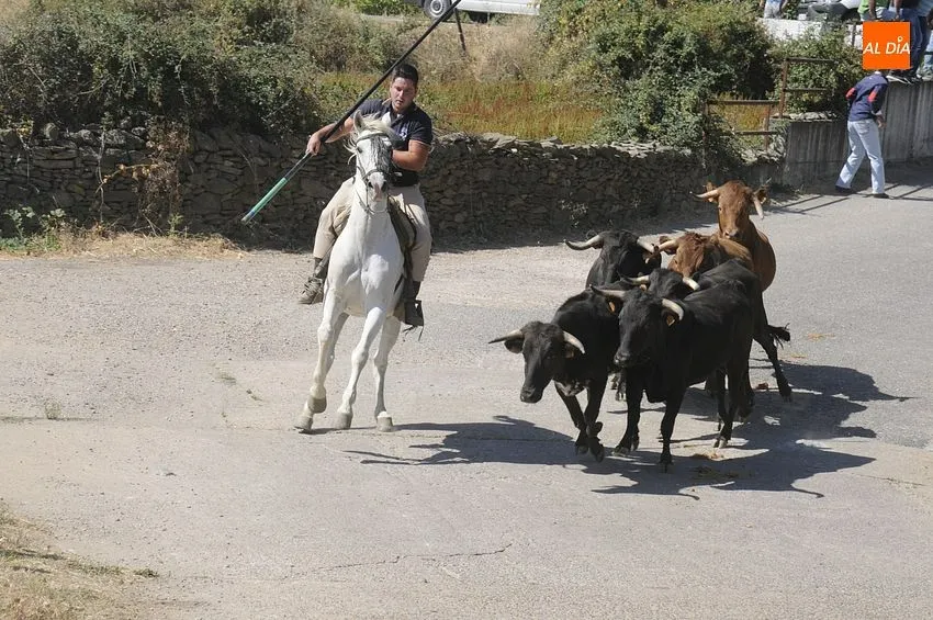 el sahugo