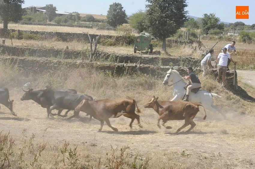 el sahugo