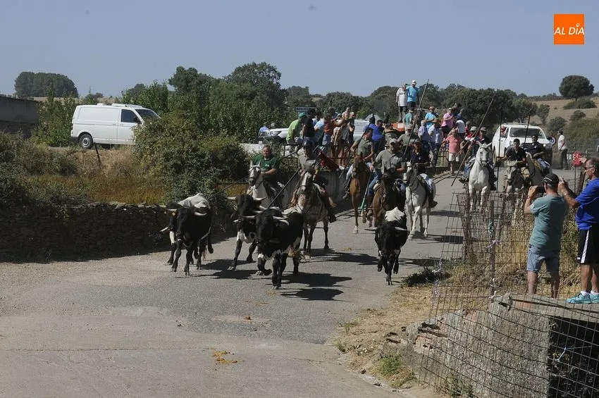 el sahugo
