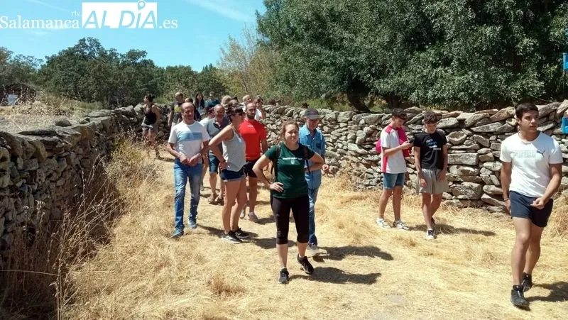 El desenjaule de los novillos ha sido seguido por muchos espectadores