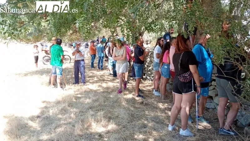 El desenjaule de los novillos ha sido seguido por muchos espectadores