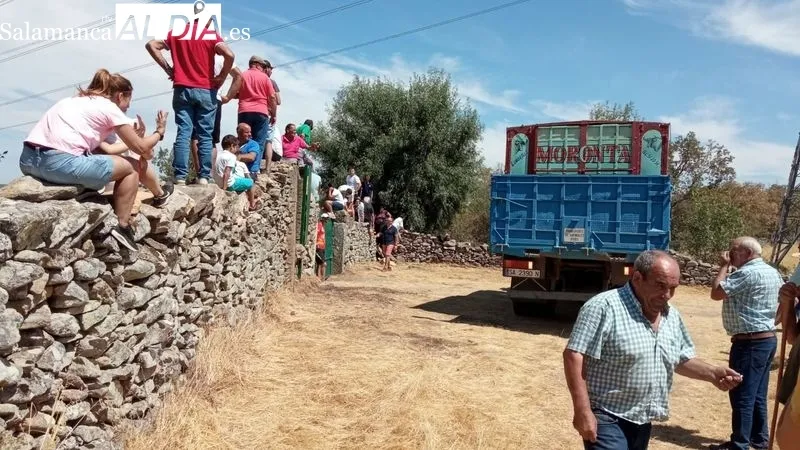 El desenjaule de los novillos ha sido seguido por muchos espectadores