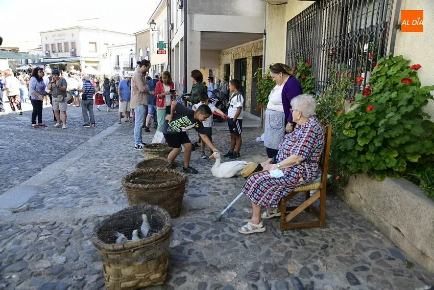 Foto 2 - Fuenteguinaldo calienta motores para sus fiestas con la cl&aacute;sica Feria de San Bartolom&eacute;