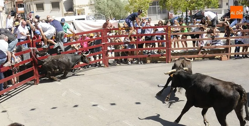 El Bodón vive sus fiestas veraniegas/ Fotos: Adrián y Sergio Martín