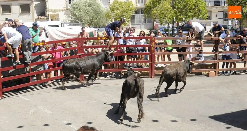 El Bodón vive sus fiestas veraniegas/ Fotos: Adrián y Sergio Martín
