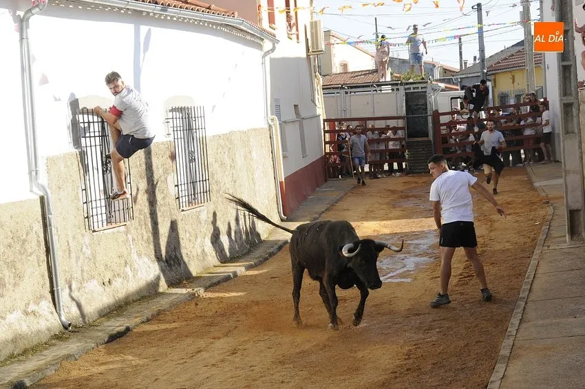 bocacara