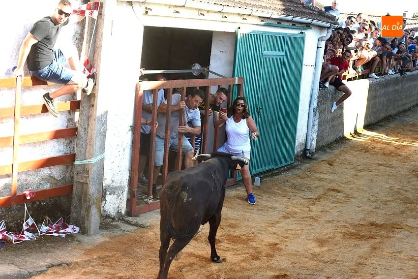 bocacara