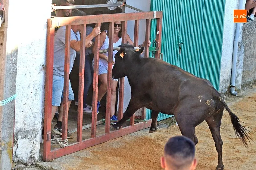 bocacara