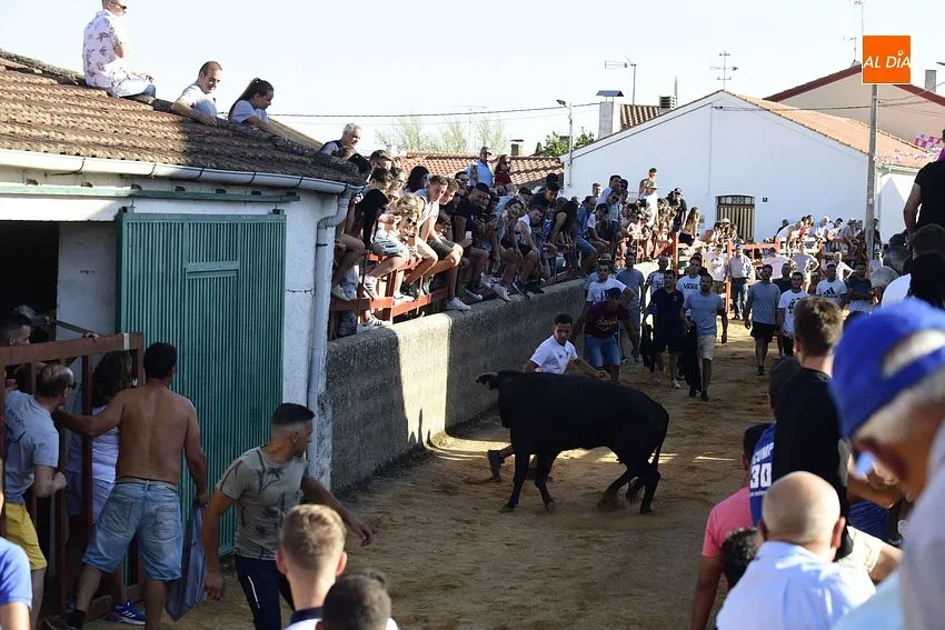 bocacara