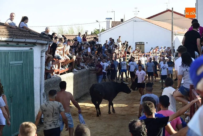bocacara