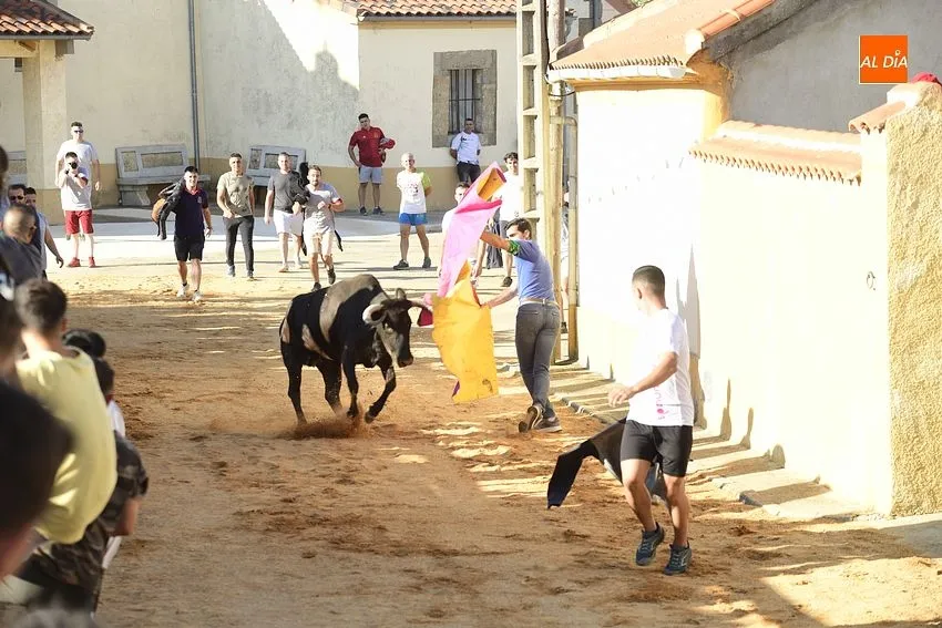 bocacara