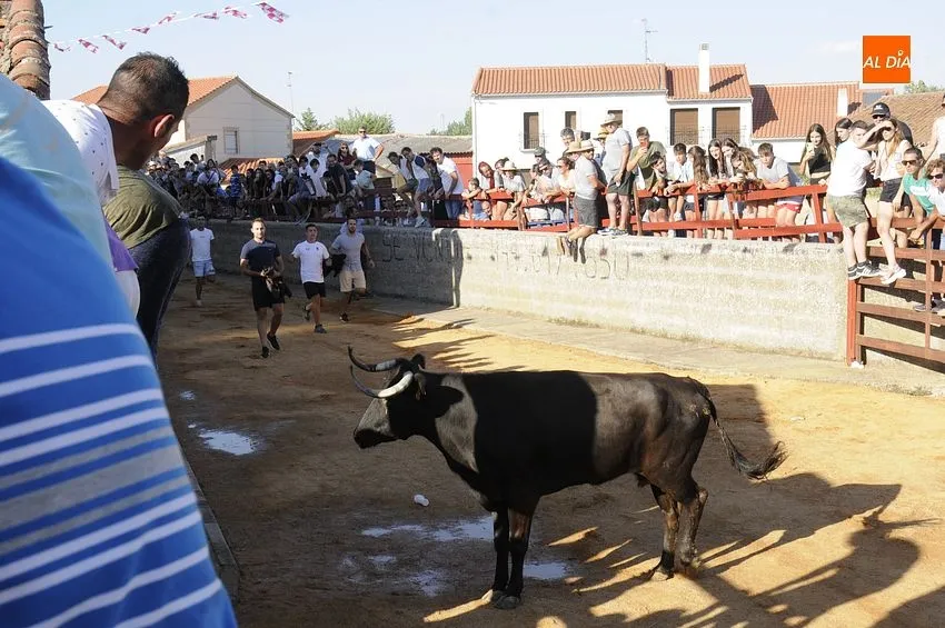bocacara