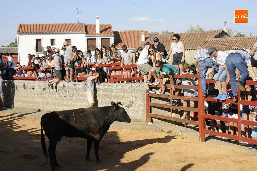 bocacara