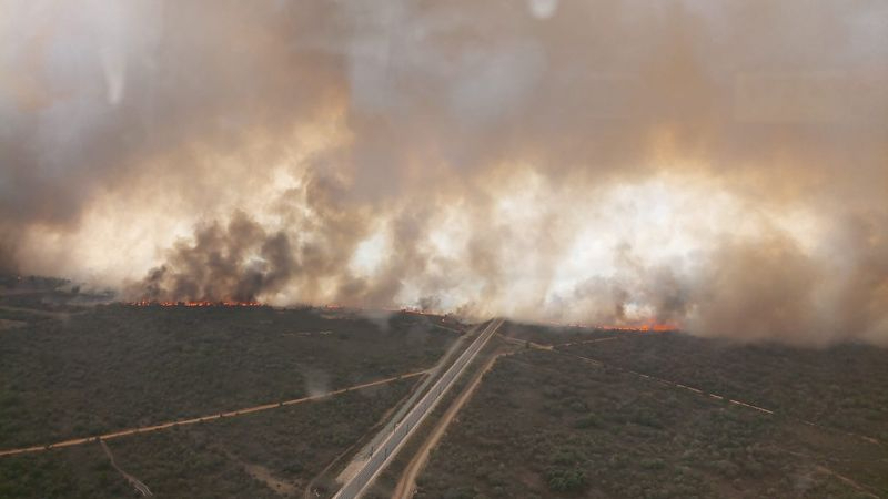 Imágenes de la Junta del incendio ocurrido en la Sierra de la Culebra (Zamora)