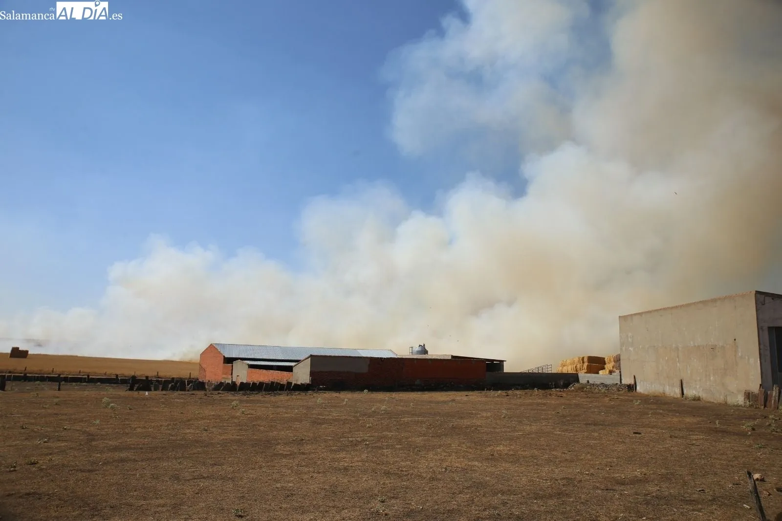 Foto 11 - Extinguido un peligroso incendio con varios focos en la carretera de Aldeaseca de Alba