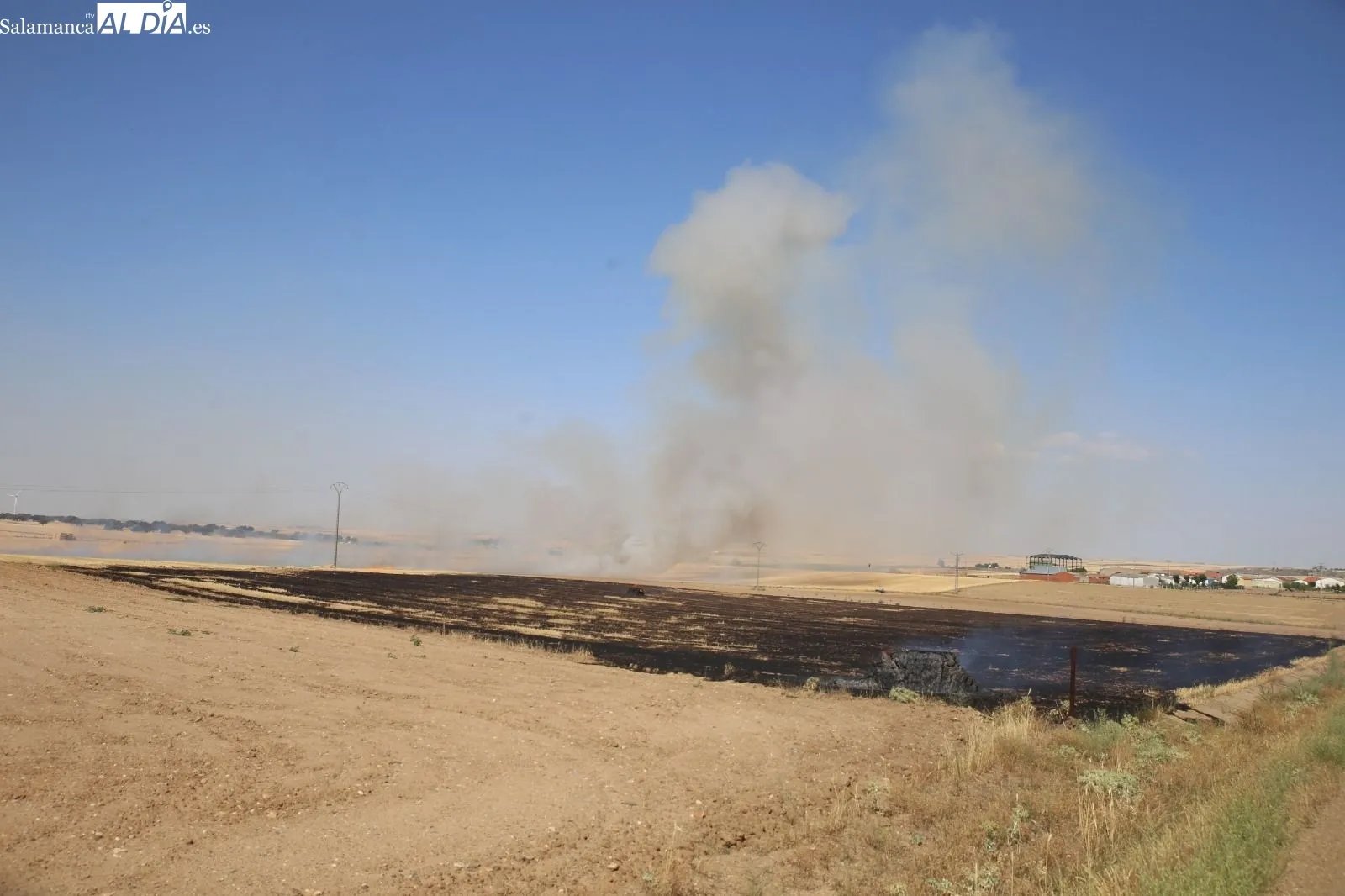 Foto 9 - Extinguido un peligroso incendio con varios focos en la carretera de Aldeaseca de Alba