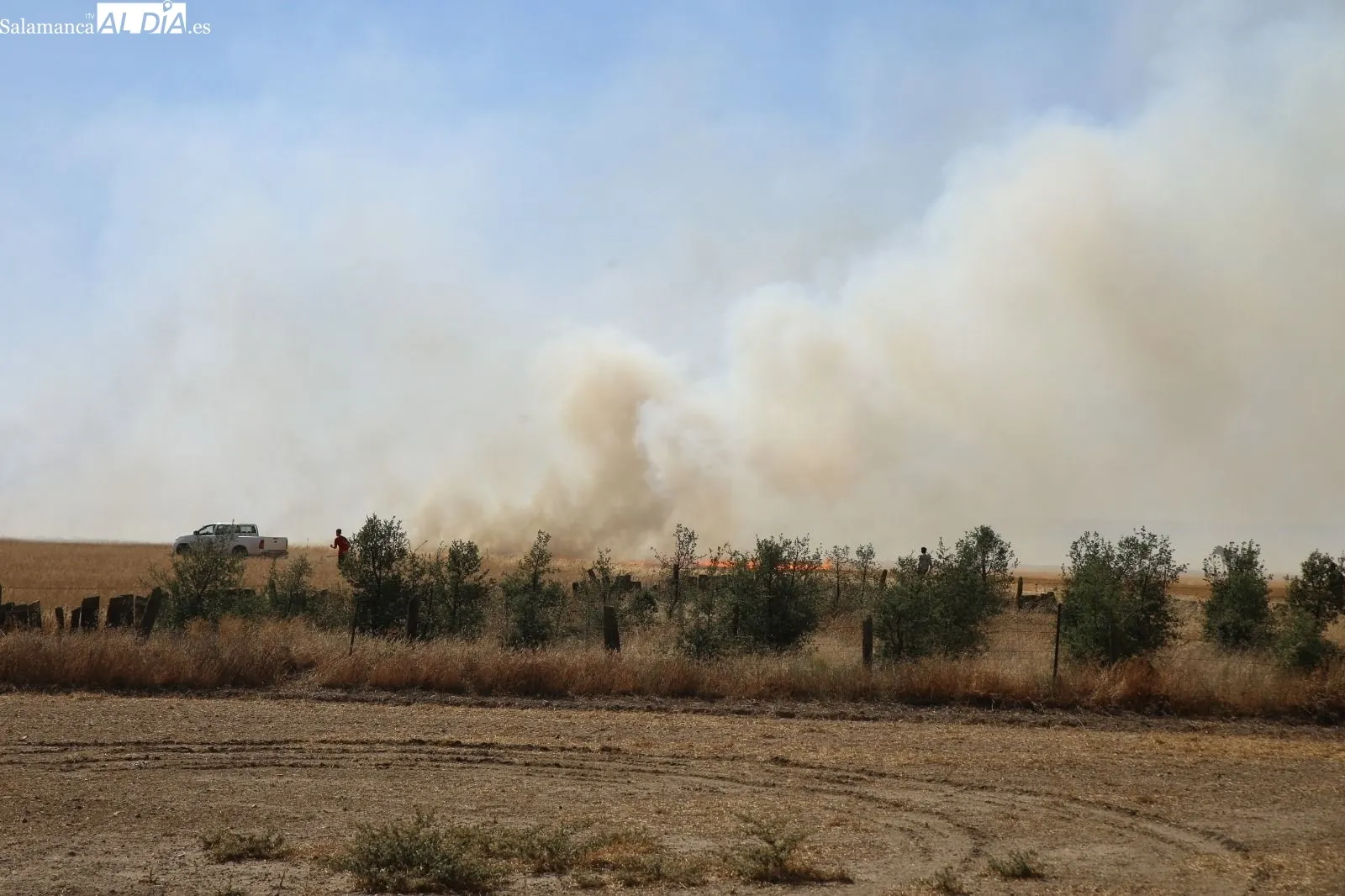 Foto 4 - Extinguido un peligroso incendio con varios focos en la carretera de Aldeaseca de Alba